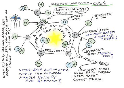 Hand drawn picture of glucose molecule